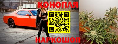 стаф Лесосибирск