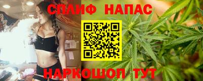 стаф Лесосибирск