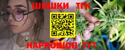 стаф Лесосибирск