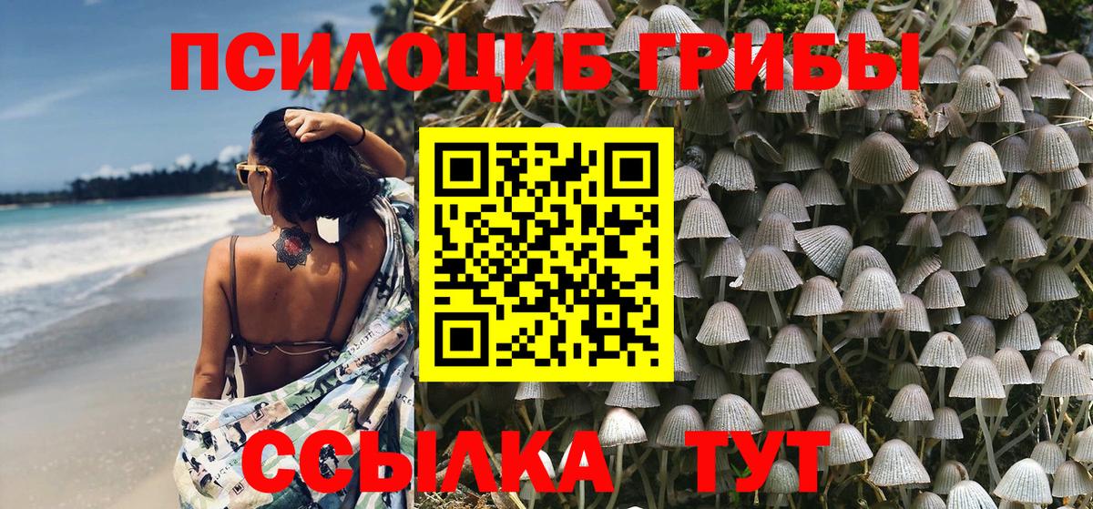 Галлюциногенные грибы Magic Shrooms Электрогорск