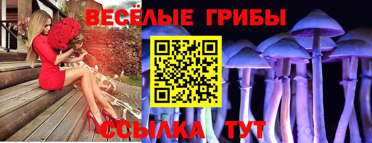 Электрогорск  Галлюциногенные грибы ЛСД  Вход с VPN 